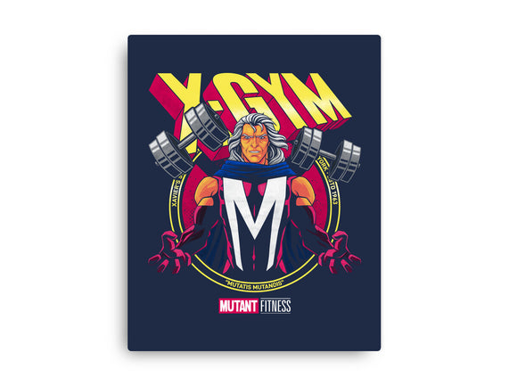 X-Gym Fitness