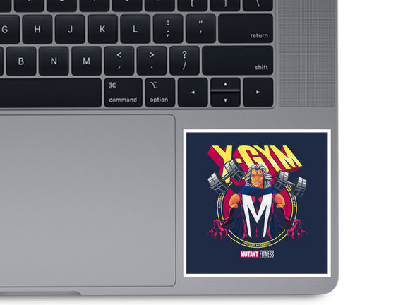 X-Gym Fitness