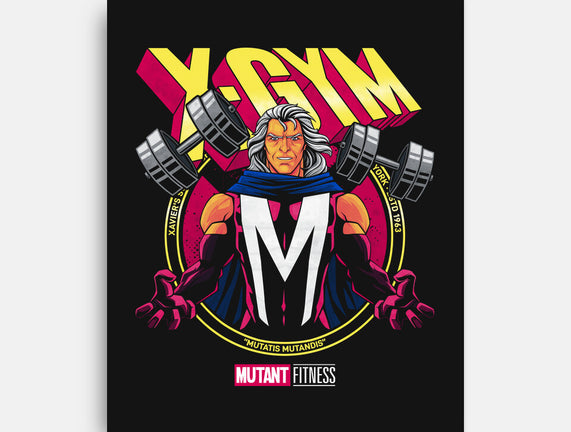 X-Gym Fitness
