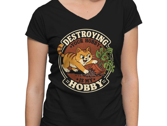 My Hobby Is Destruction