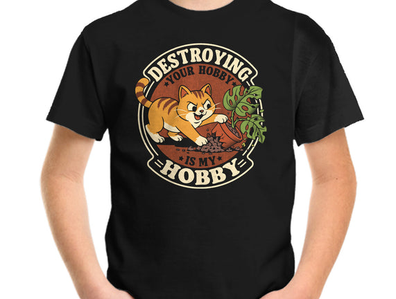My Hobby Is Destruction