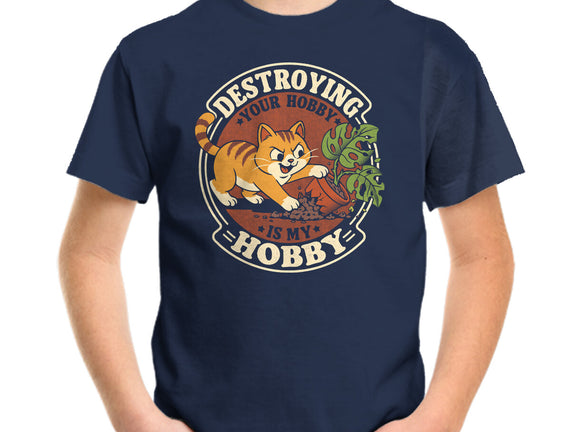 My Hobby Is Destruction