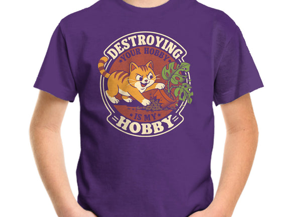 My Hobby Is Destruction