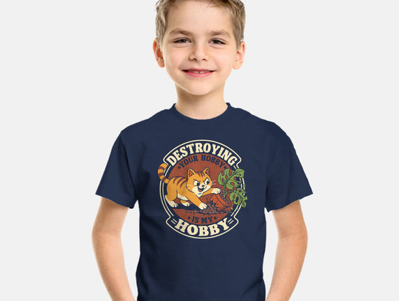 My Hobby Is Destruction
