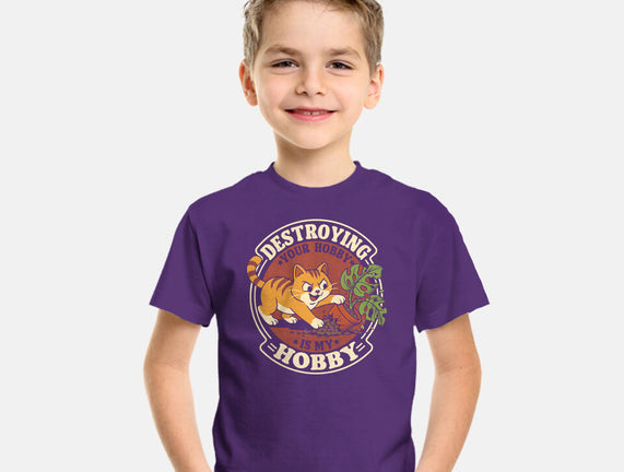My Hobby Is Destruction