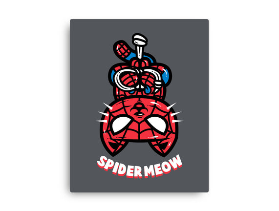 Spider Meow