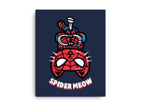 Spider Meow
