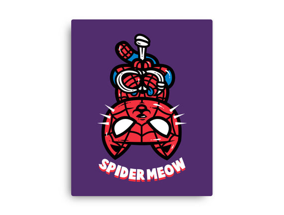 Spider Meow