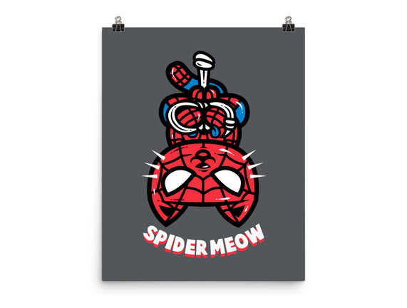 Spider Meow