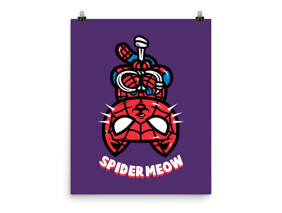 Spider Meow