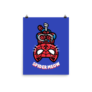 Spider Meow