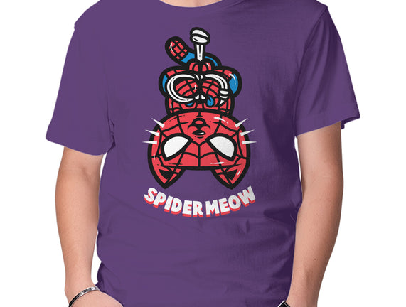 Spider Meow