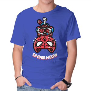Spider Meow