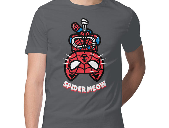 Spider Meow