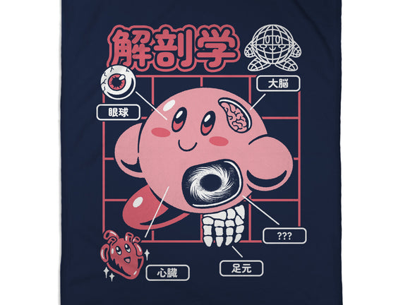 Cute Anatomy