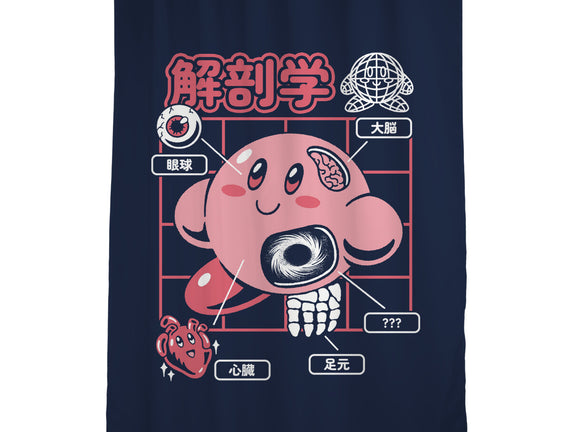Cute Anatomy