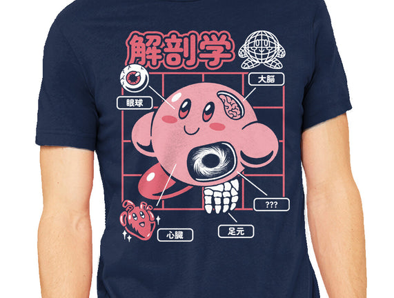 Cute Anatomy