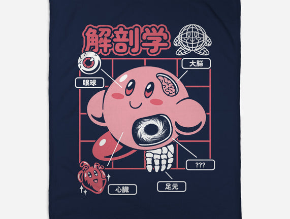 Cute Anatomy