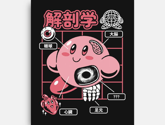 Cute Anatomy