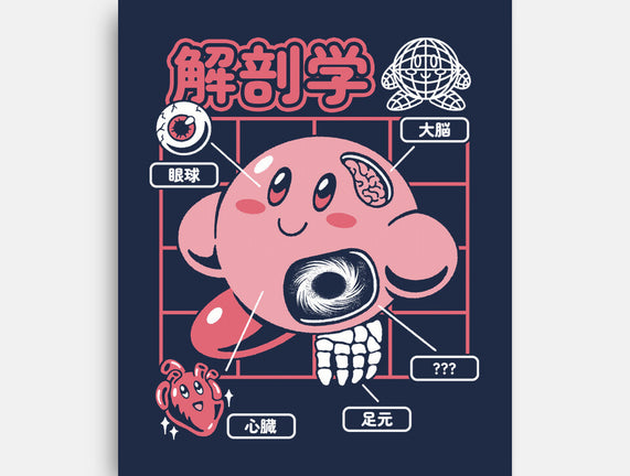 Cute Anatomy