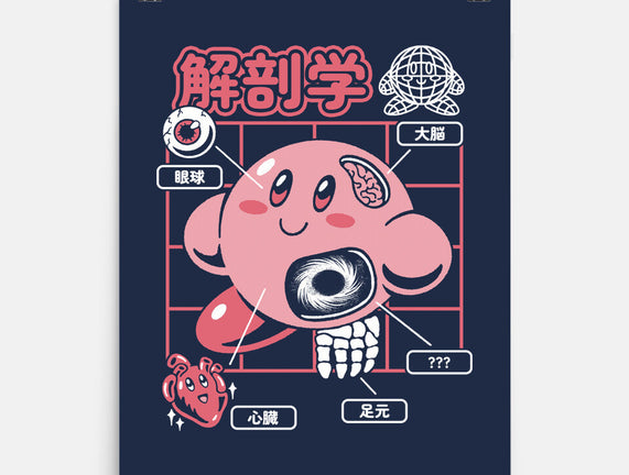Cute Anatomy