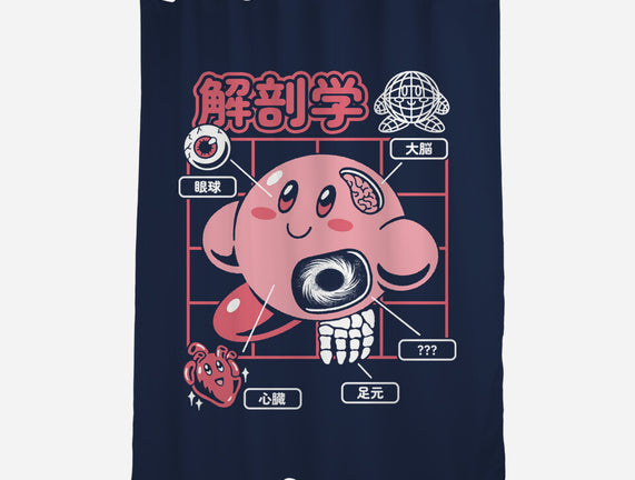 Cute Anatomy