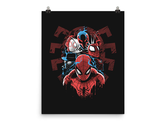 Spiders