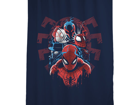 Spiders