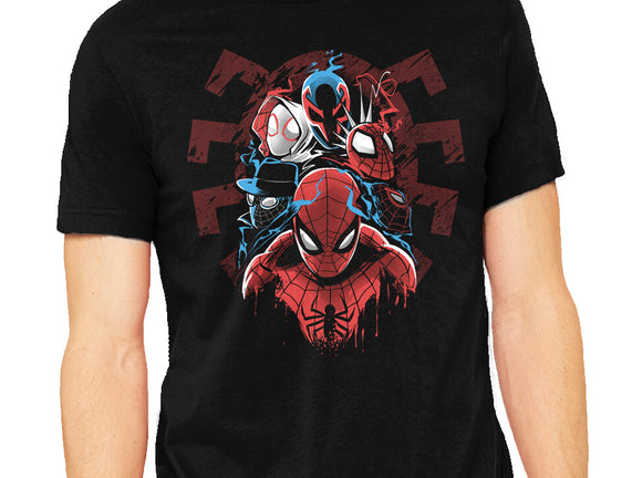 Spiders