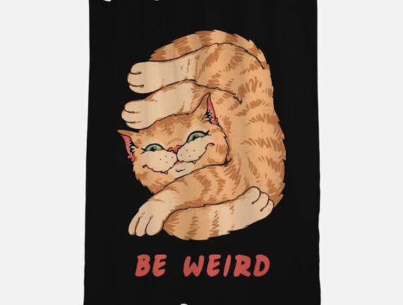Weird Meowster Cat