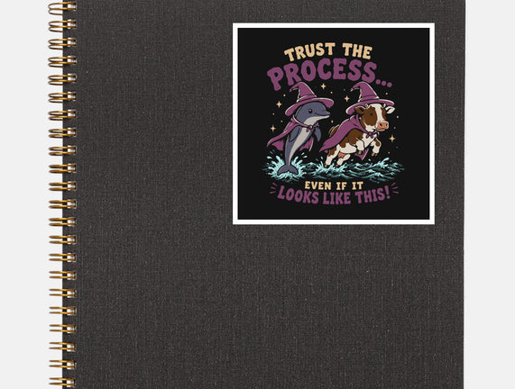 Trust The Process