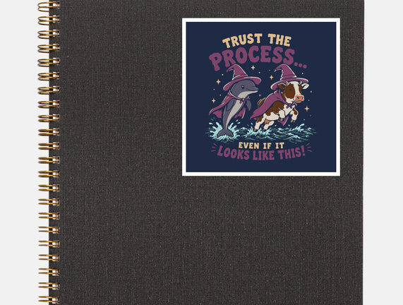 Trust The Process