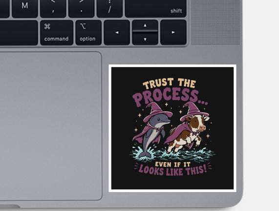 Trust The Process