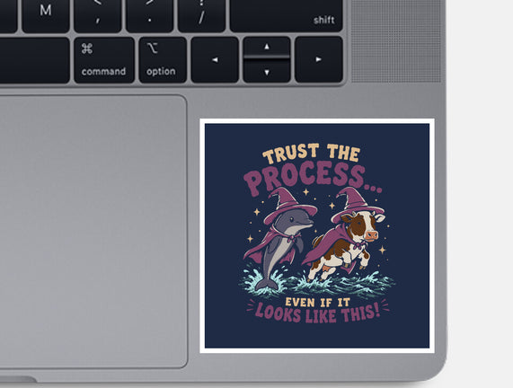 Trust The Process