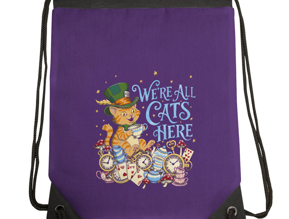 We're All Cats Here