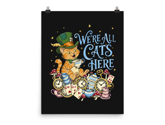 We're All Cats Here
