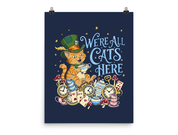 We're All Cats Here