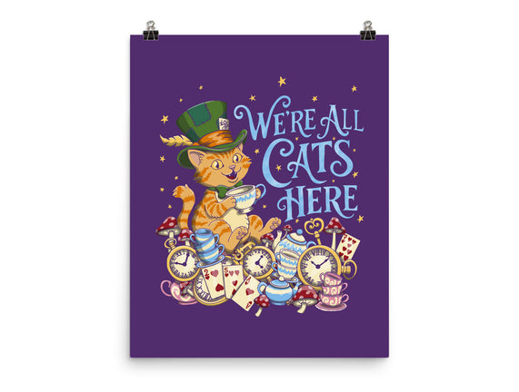 We're All Cats Here