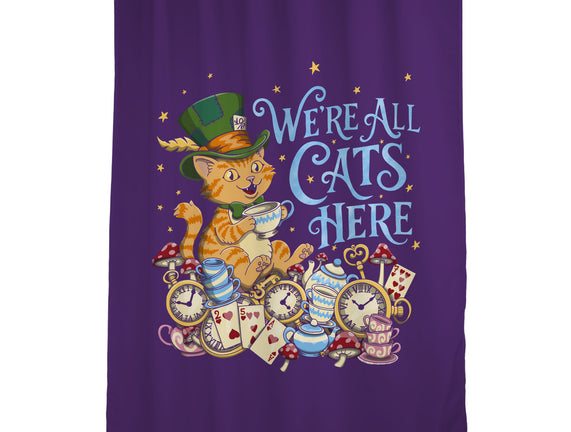 We're All Cats Here