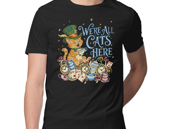 We're All Cats Here