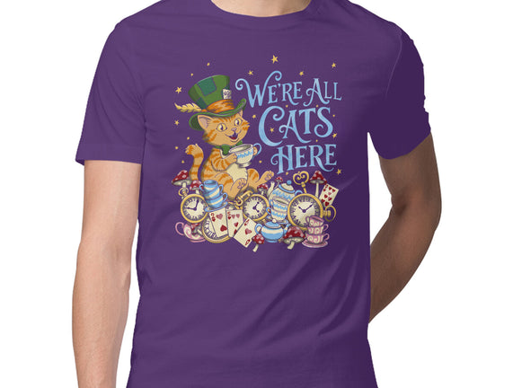 We're All Cats Here