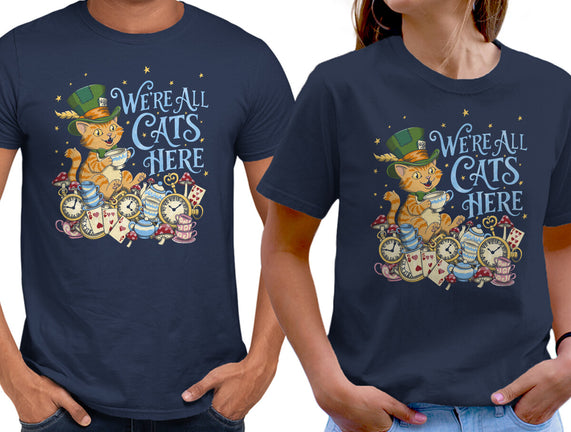 We're All Cats Here