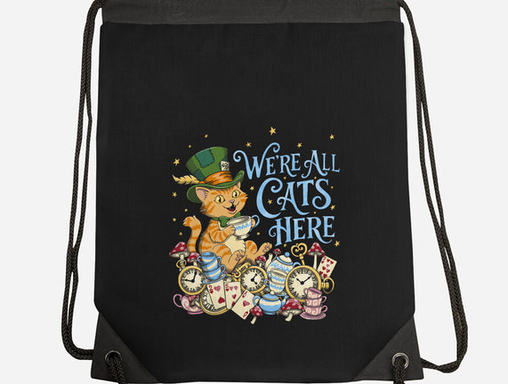 We're All Cats Here
