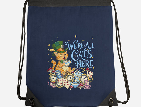 We're All Cats Here
