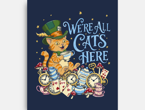 We're All Cats Here