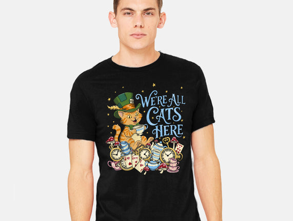 We're All Cats Here