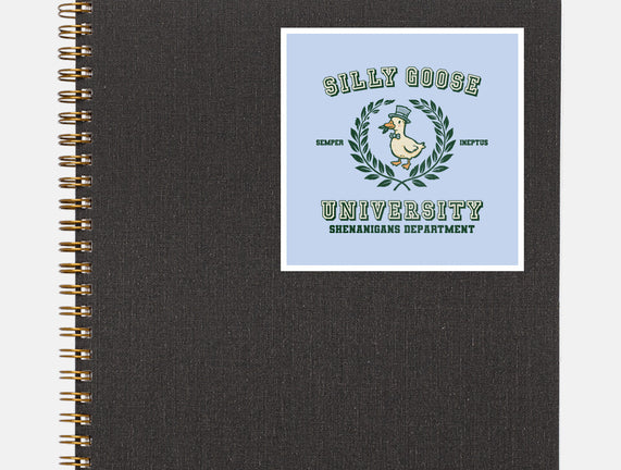 Silly Goose University