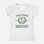 Silly Goose University-Womens-V-Neck-Tee-kg07