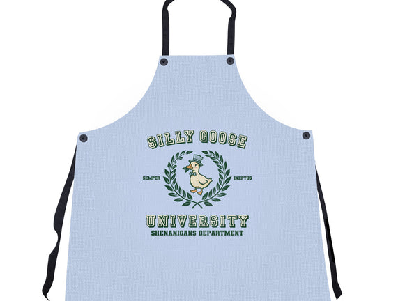 Silly Goose University