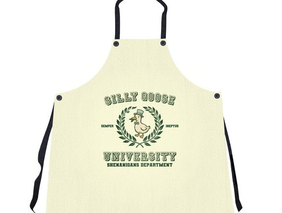 Silly Goose University